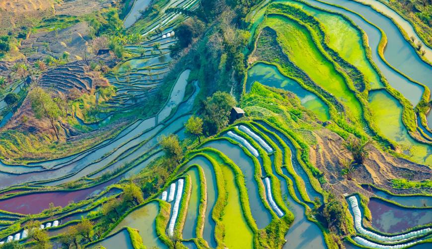 宝妈必备神器：恩阳区产品视频拍摄轻松育儿好帮手