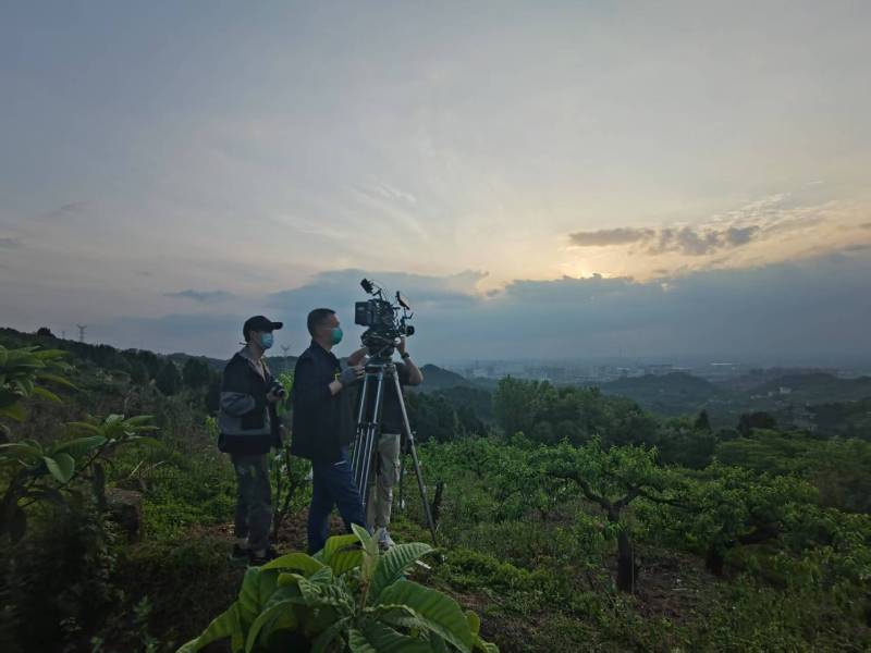 创意破圈！恩阳区电商产品宣传视频用故事化叙事引爆流量