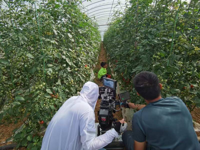 恩阳区产品宣传视频拍摄公司进阶指南，助力品牌抢占传播高地